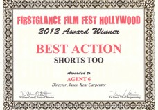 FirstGlance Film Festival Award Winner “Agent 6″